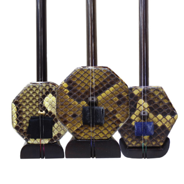 Chinese Orchestra Instruments