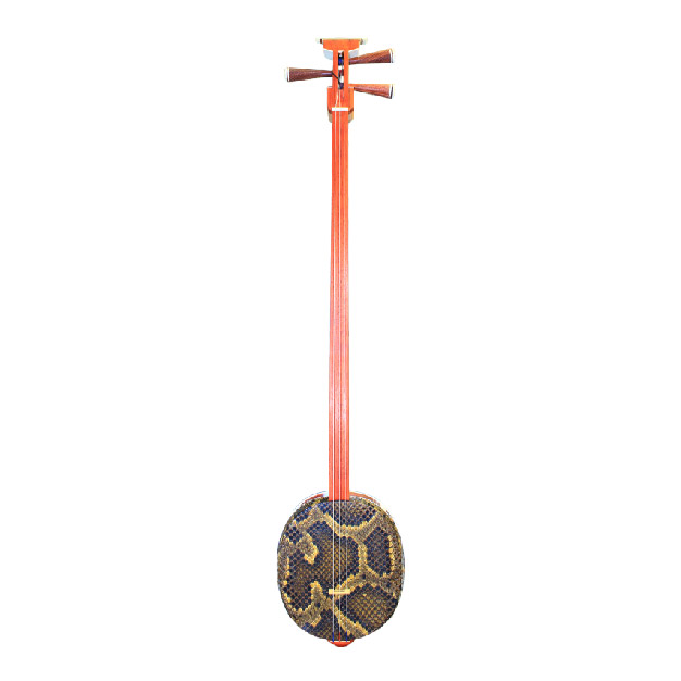 Chinese Plucked String Instruments